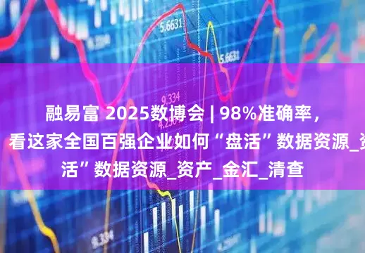 融易富 2025数博会 | 98%准确率，节省30%费用！看这家全国百强企业如何“盘活”数据资源_资产_金汇_清查